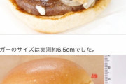 鹿肉バーガー販売中 ロッテリア 840円（画像あり）