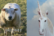 転生したら羊になってたやつ？ユニコーンのような角を持つ羊