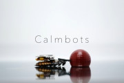 【未来】ゴキブリに電極を取り付け群れを遠隔操作する技術「Calmbots」筑波大学が開発