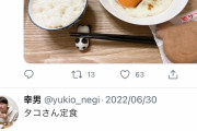 【画像】Twitter民「タコさん定食作ったよ！」→