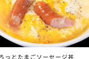 【朗報】松屋、「こういうのでいいんだよ」を真に受けてこういうのでいいんだよ丼を提供するｗｗｗｗｗｗｗ　（画像あり）