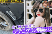 【芸能】ダレノガレ明美、当て逃げ被害の“その後”明かす。共演弁護士から危険性の指摘も「私もけっこう凶暴なので」