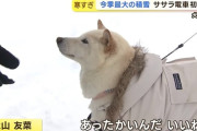 「あったかいんだ　いいね」の犬からもう1年ってマジ？？？