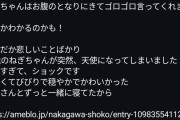 【悲報】中川翔子の猫、8ヶ月で4匹亡くなる