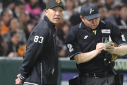 【謎】巨人阿部監督、”闘魂丸わかりサイン”今季から導入へ