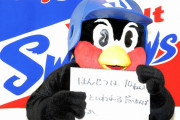 つば九郎、契約更改！  年棒5万円と「ヤクルト1000飲み放題」のオプションで納得のサイン