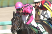 【競馬】スマートオーディン毎日王冠から天皇賞秋