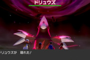 【ポケモン剣盾】すなかきドリュウズにタスキは想定してないわ　すなかきなら突破力上げる道具では？