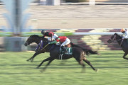 【競馬】シンザン記念2着のプリンスリターン、原田和真でオーストラリアのドンカスターマイル出走へ！