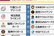 球場でお金を使う球団ファンランキング、発表される