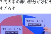【速報】47%は半分を超えると判明！！！テレビ局の作ったグラフをご覧ください。