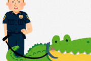 【ほのぼの】警察官がロープで繋いだ『ワニ』を散歩する様子が撮影されSNSでバズる　