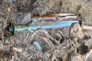 【画像】ドイツで『光を放つ3000年前以上前の剣』が見つかる！実戦用の武器だった可能性