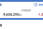 【悲報】新NISA損切りワイ、完全に騙されて終わるｗｗｗ
