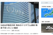 馬鹿「IAEAは東電のデータ貰ってるだけで独自の分析はしてない！」　IAEA「したけど安全だったぞ」