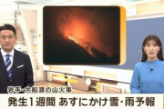 【速報】日本最大の山火事が発生している大船渡に1週間、雪と雨の予報「お待たせしました、鎮火させましょう」
