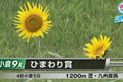 【ひまわり賞】ヒノクニ＆長岡騎手がｷﾀ━━━━(ﾟ∀ﾟ)━━━━!!