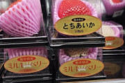外国人「日本のイチゴ1個の値段が限界突破…一体誰が買うんだ…」