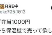 韓国人「大阪万博「1000円唐揚げ弁当」に日本人もビックリ！」　韓国の反応