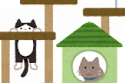猫のためにキャットタワー作った結果ｗｗｗｗ