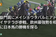 凱旋門賞にメイショウタバルとアドマイヤテラが参戦、欧州最強勢を相手に日本馬の勝機を探る