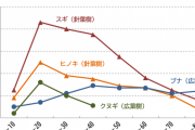 【朗報】杉、二酸化炭素吸収能力が最強だった！ドンドン杉を植えまくったほうが地球にいい！