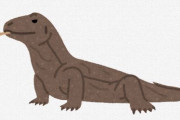 コモドドラゴン、クッソ汚い害獣だった