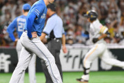 日本ハムファイターズさん借金２０を超えるも誰も話題にしない