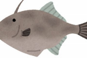 カワハギとかいう神の魚