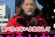 山本太郎「コオロギなんて食べたいか！？食べたくないよ虫なんて！他にタンパク源あるやろ」