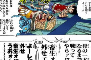 【ワンピース】こいつが仲間になると思ってたやつ96割くらいいる説ｗｗｗｗｗｗｗｗｗｗｗｗｗ