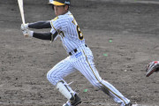 阪神７位高寺が５戦連続安打　プロ初マルチも出た