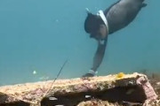 【動画】海底に潜む大きなエビを一つの網で大量に捕獲するダイバーたち。