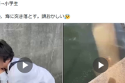 小学生を首絞めて海に落とした中学生、ネット特定祭りにより早くも特定された模様「父親は経営者」これもうSNS規制か