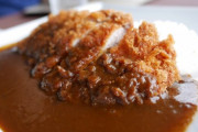 【悲報】カツカレーさん、「カツがスプーンで食べにくい」という欠点を克服できない…