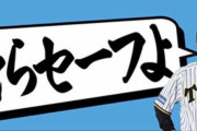 【放送事故】プロ野球の審判、世紀の大誤審をしてしまうｗｗｗｗｗｗ