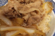 【超画像】吉野家の牛丼、ケチり始めるｗｗｗｗｗ