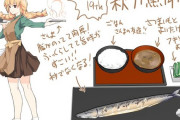 【艦これ】カレー機関のおいしい秋刀魚御膳　他なごみネタ
