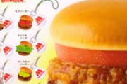 【画像】モスバーガーさんこれじゃないだろっていうバーガーを作ってしまうw