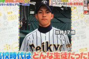 ローランド「山崎康晃はとにかく頭が悪い。ローマ字のEを『ヨ』と書いた」