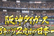 ちなDeワイ、阪神の「38年ぶり」という言葉に反応してしまう
