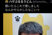 日本人(SNS民)、推しへの誹謗中傷は許さないとか言うくせに、嫌いな人には平然と誹謗中傷をする