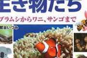 【閲覧注意】蜘蛛さん「人間さんの嫌いな虫さん全部食べてあげる！その代わりお家使わせてね」　←こいつを殺す理由