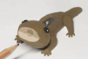 トカゲの鉛筆削り鉛筆を削るとエリマキトカゲに変化します。