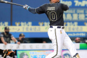 【めっちゃ遅報】大物メジャーリーガージョーンズ、来日第一号！絶好調二木から見事なホームラン！