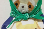 （ヽﾟ んﾟ ）「俺は1歳の頃からアライグマのぬいぐるみ抱いて寝てるんだよ」