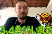 ◆悲報◆南野タキに駄目だししてた闘莉王さん、スズメバチに3・4発食らう