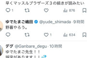 【悲報】人気漫画家さん、誤字を指摘されブチギレるｗｗｗｗ