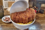 カツ丼のトンカツってサクサクがいい？ジューシーがいい？