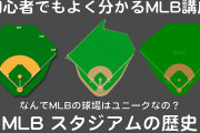 野球「球場によって高さとか諸々変わります」←これ